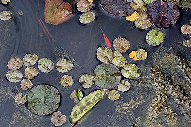 《极品飞车：不羁》第四章将于8月16日上线